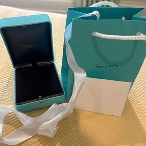 Tiffany & Co. Turquoise Box and Bag Set